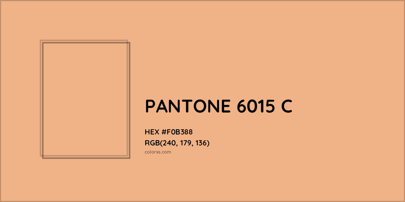 HEX #F0B388 PANTONE 6015 C CMS Pantone PMS - Color Code