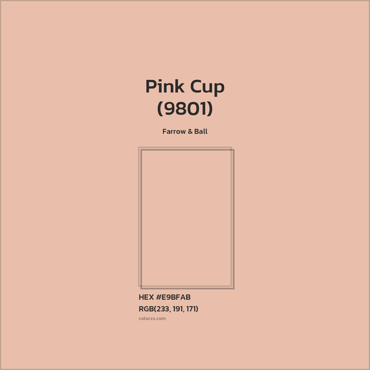 HEX #E9BFAB Pink Cup (9801) Paint Farrow & Ball - Color Code