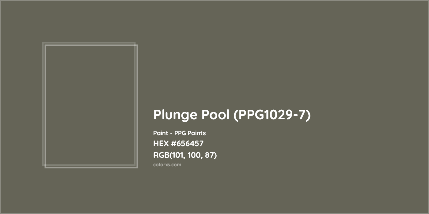 HEX #656457 Plunge Pool (PPG1029-7) Paint PPG Paints - Color Code