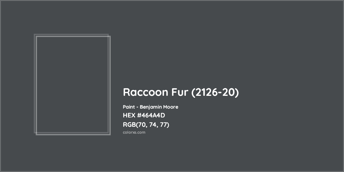 HEX #464A4D Raccoon Fur (2126-20) Paint Benjamin Moore - Color Code