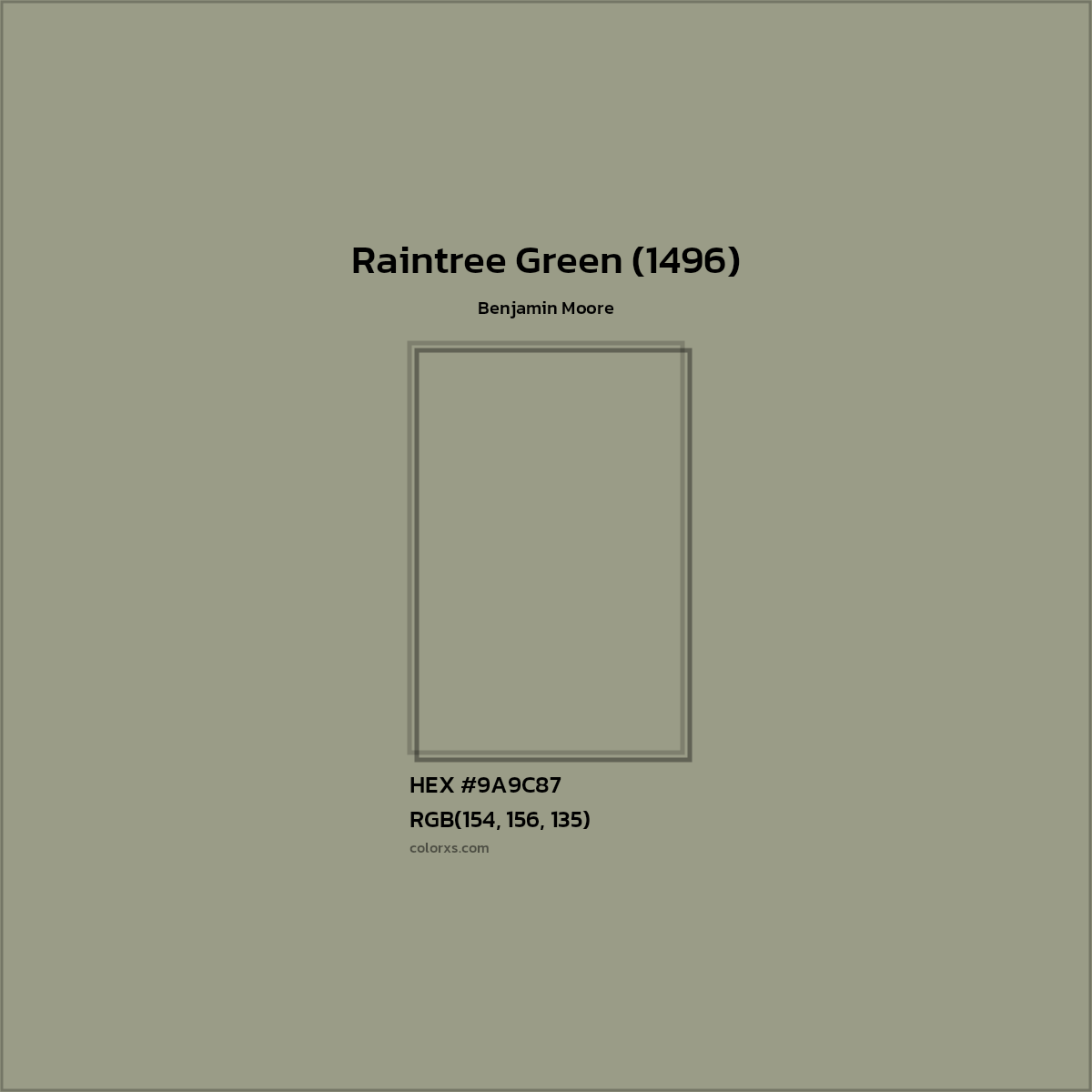 HEX #9A9C87 Raintree Green (1496) Paint Benjamin Moore - Color Code