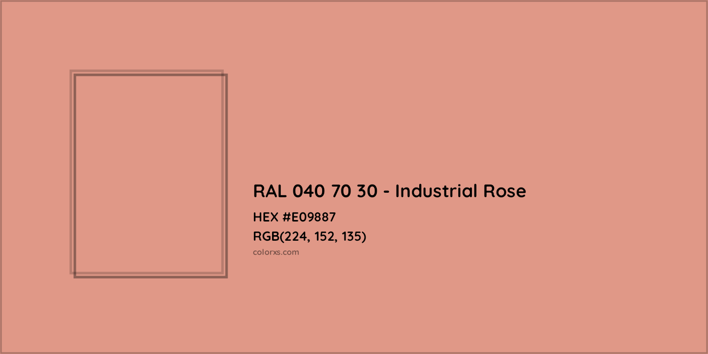 HEX #E09887 RAL 040 70 30 - Industrial Rose CMS RAL Design - Color Code