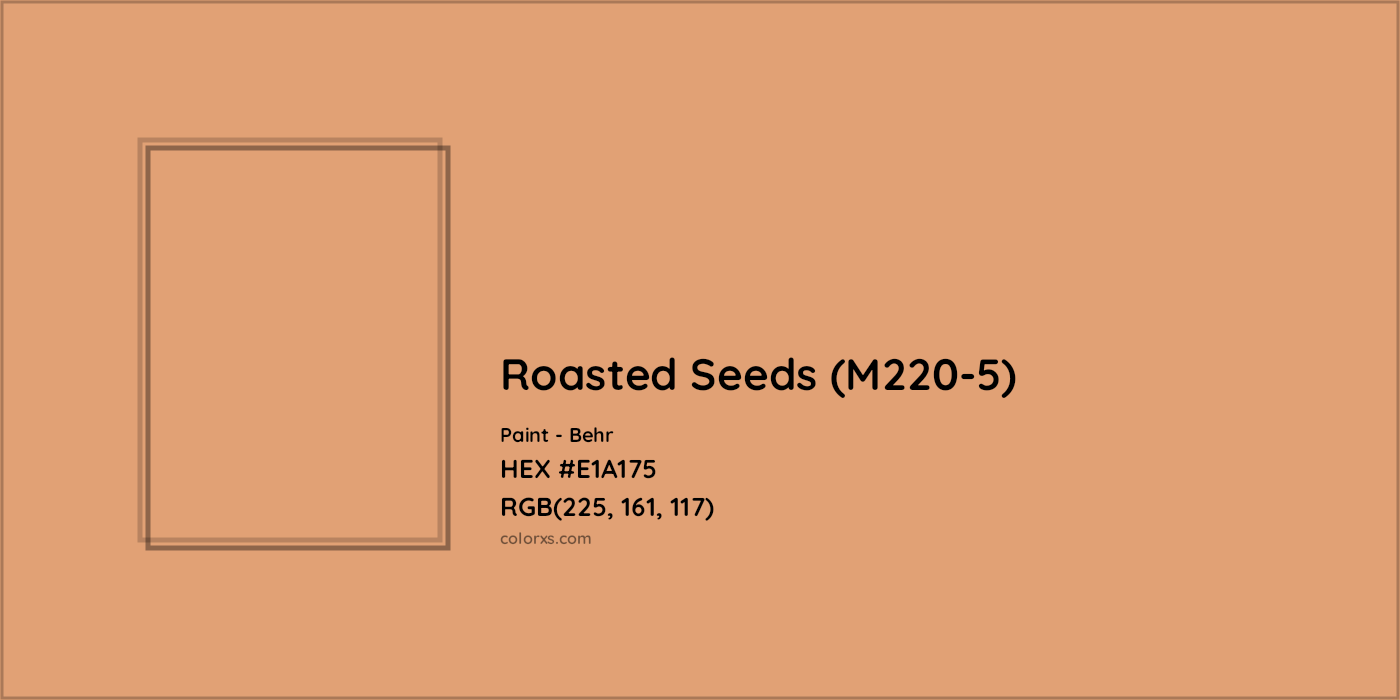 HEX #E1A175 Roasted Seeds (M220-5) Paint Behr - Color Code