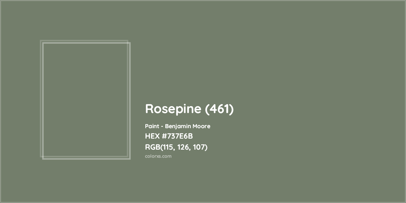 HEX #737E6B Rosepine (461) Paint Benjamin Moore - Color Code