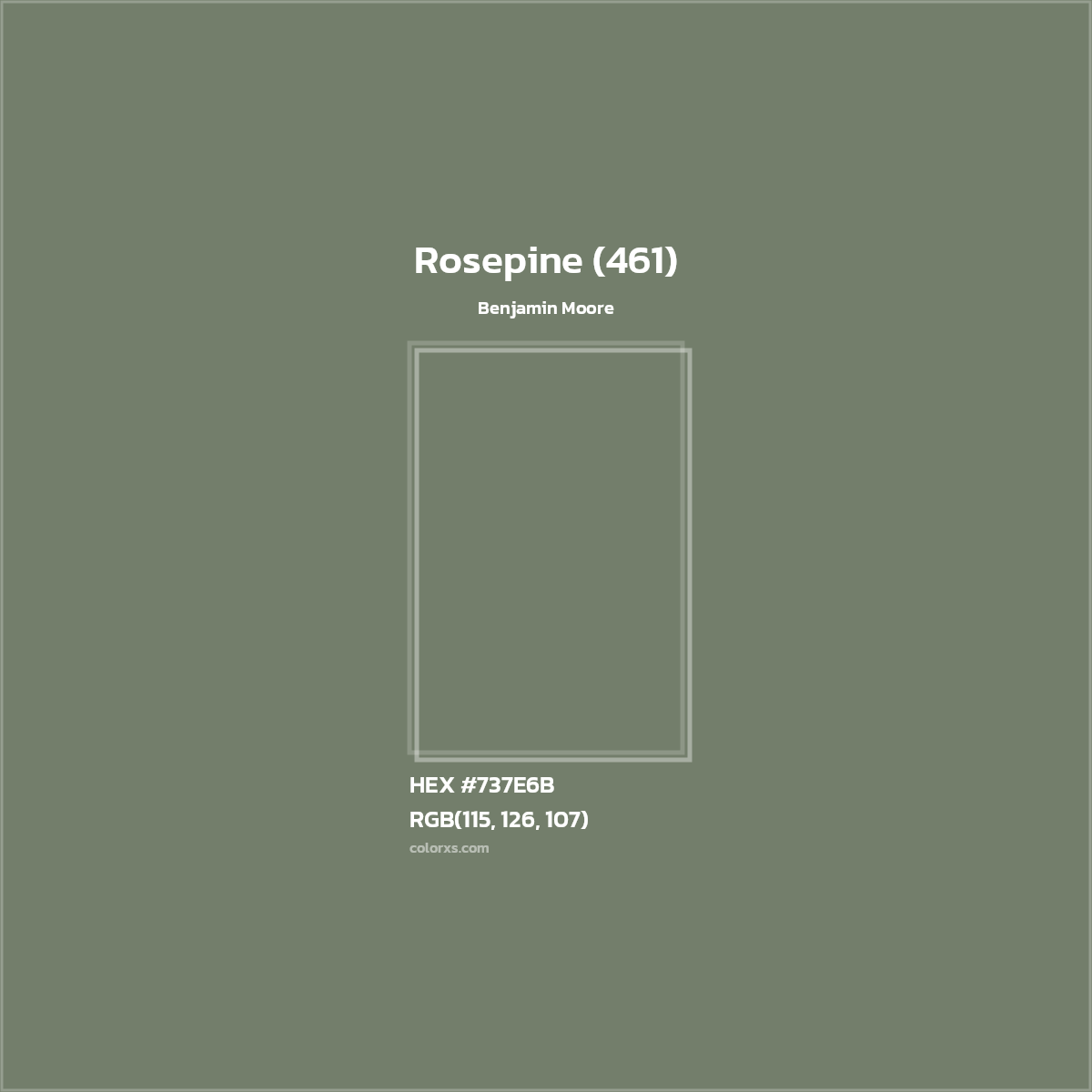 HEX #737E6B Rosepine (461) Paint Benjamin Moore - Color Code