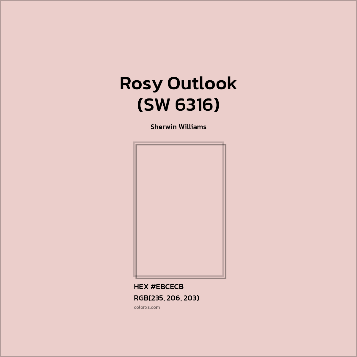 Sherwin Williams Rosy Outlook (SW 6316) Paint color codes, similar