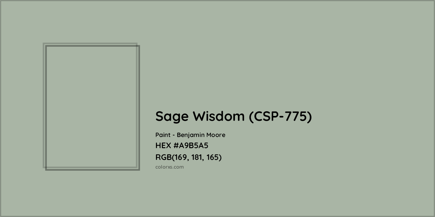 HEX #A9B5A5 Sage Wisdom (CSP-775) Paint Benjamin Moore - Color Code