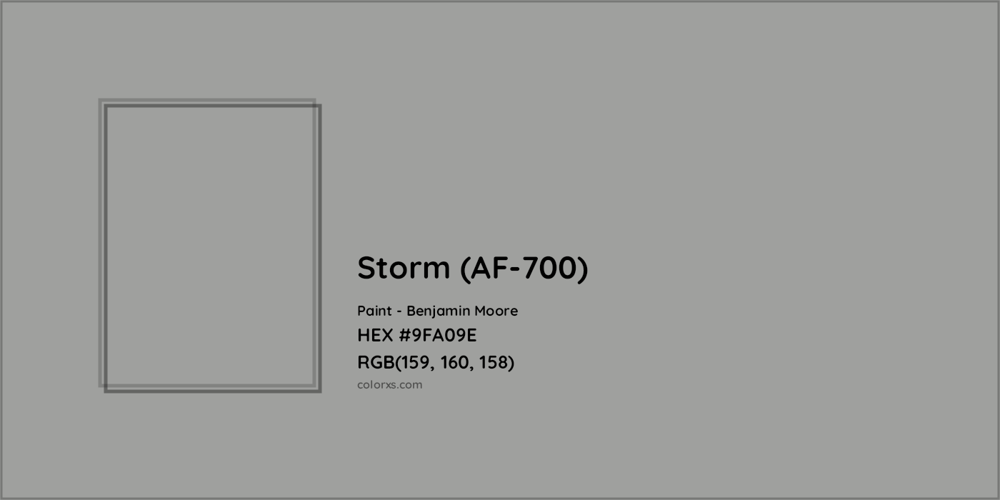 HEX #9FA09E Storm (AF-700) Paint Benjamin Moore - Color Code