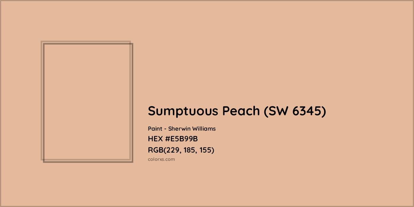 HEX #E5B99B Sumptuous Peach (SW 6345) Paint Sherwin Williams - Color Code
