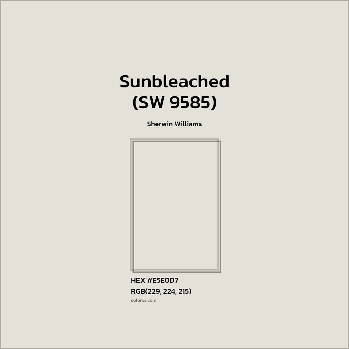 HEX #E5E0D7 Sunbleached (SW 9585) Paint Sherwin Williams - Color Code
