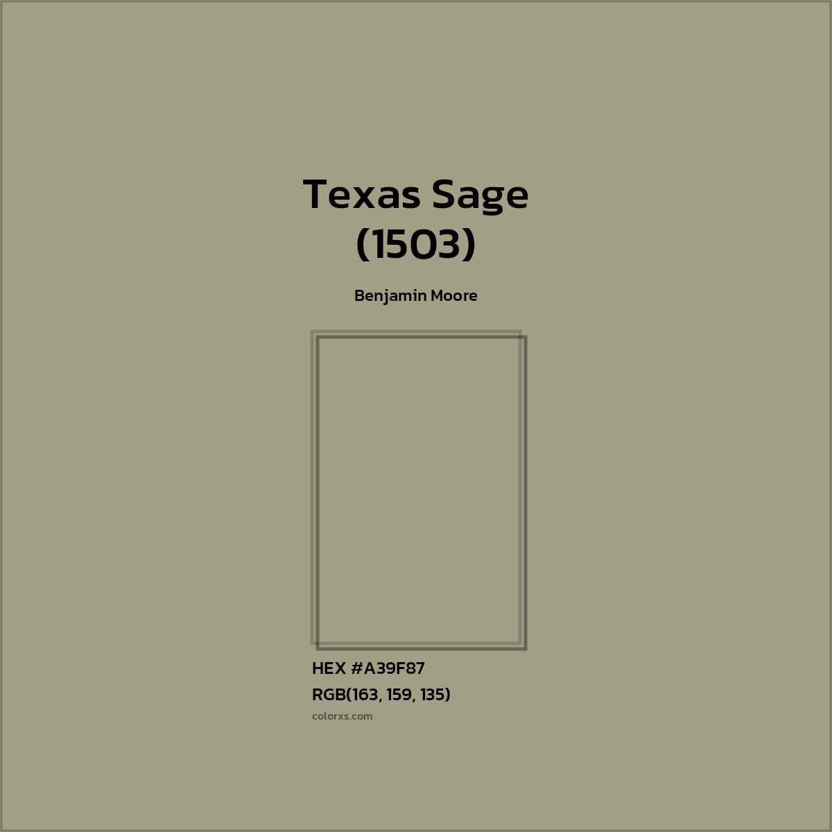 HEX #A39F87 Texas Sage (1503) Paint Benjamin Moore - Color Code