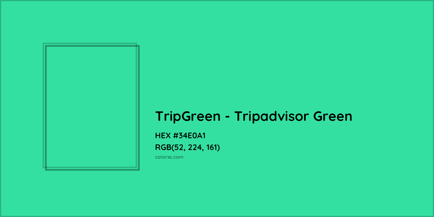 HEX #34E0A1 TripGreen - Tripadvisor Green Other Brand - Color Code