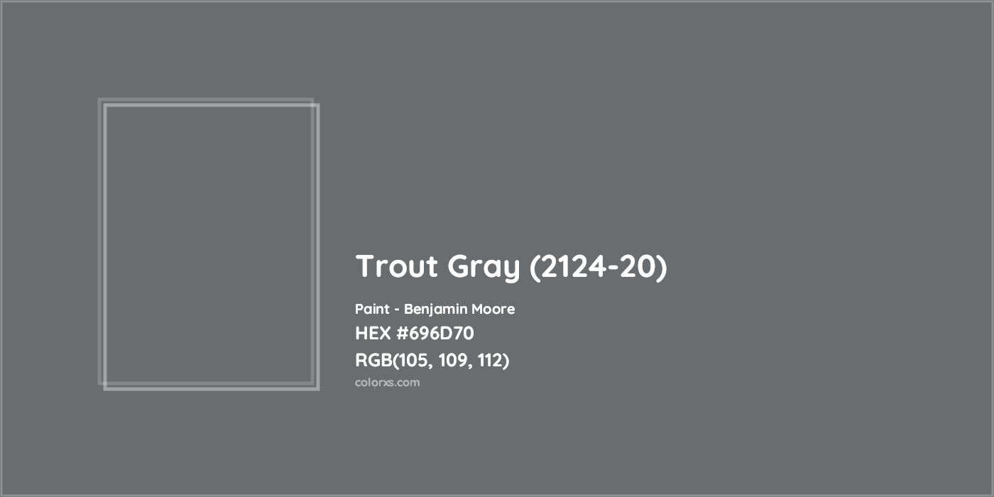 HEX #696D70 Trout Gray (2124-20) Paint Benjamin Moore - Color Code
