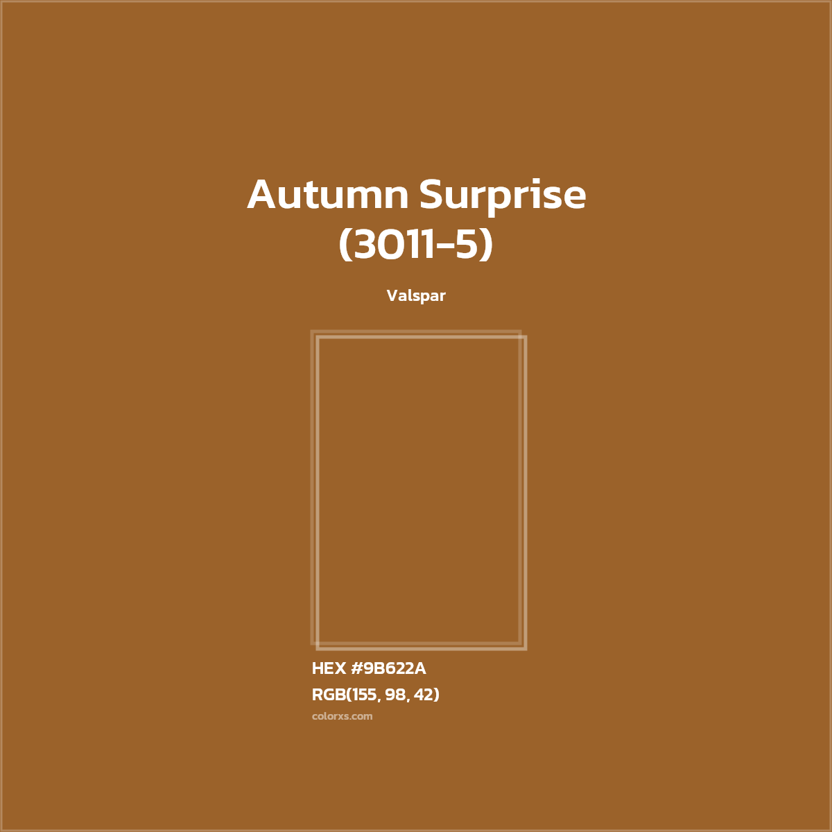 HEX #9B622A Autumn Surprise (3011-5) Paint Valspar - Color Code