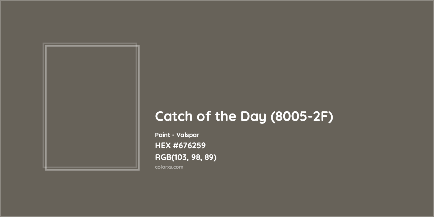 HEX #676259 Catch of the Day (8005-2F) Paint Valspar - Color Code