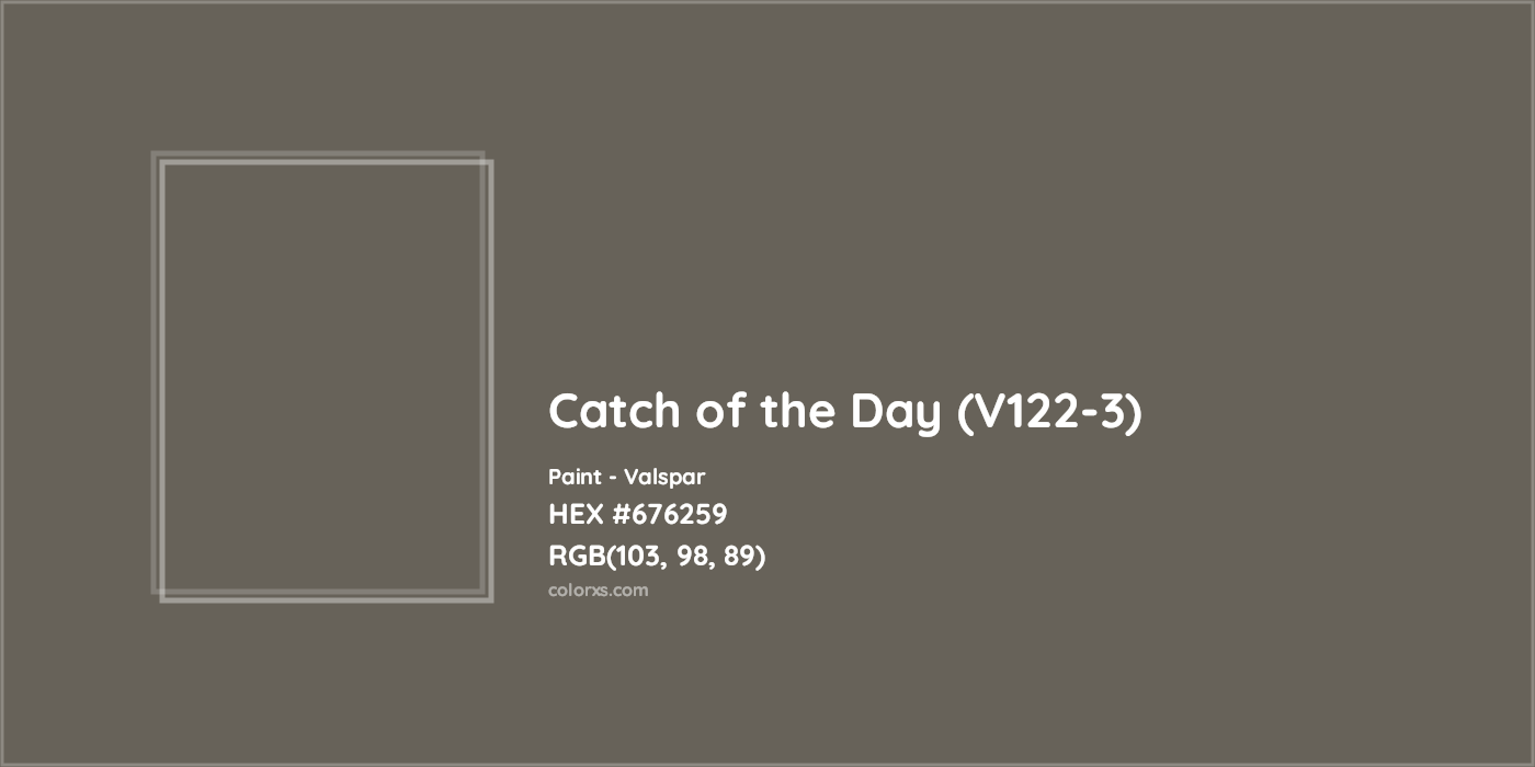 HEX #676259 Catch of the Day (V122-3) Paint Valspar - Color Code