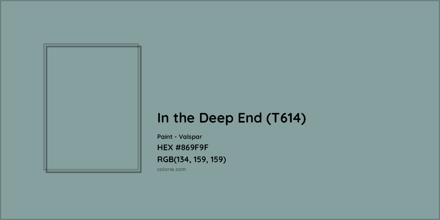 HEX #869F9F In the Deep End (T614) Paint Valspar - Color Code