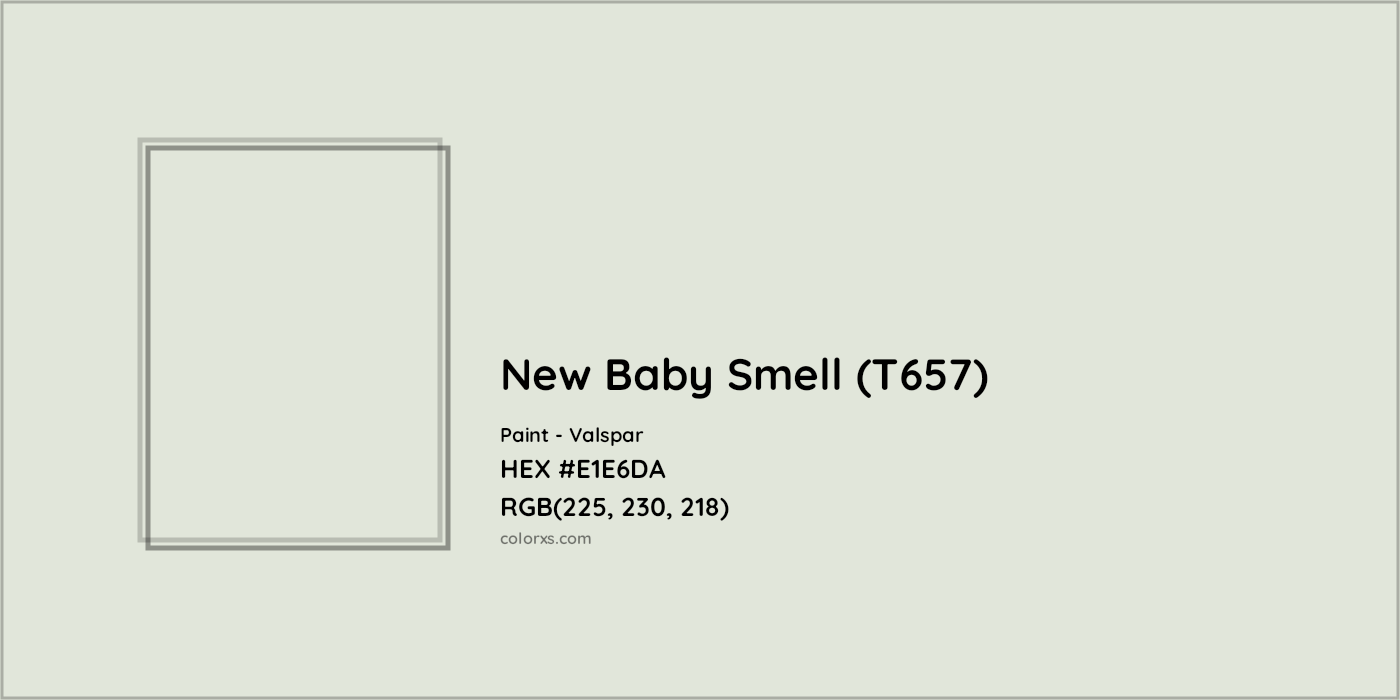 HEX #E1E6DA New Baby Smell (T657) Paint Valspar - Color Code