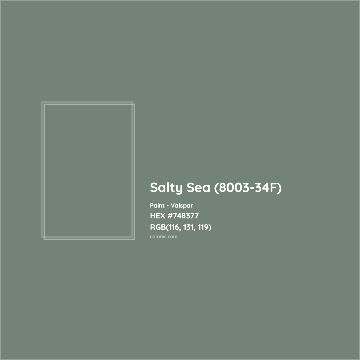 HEX #748377 Salty Sea (8003-34F) Paint Valspar - Color Code