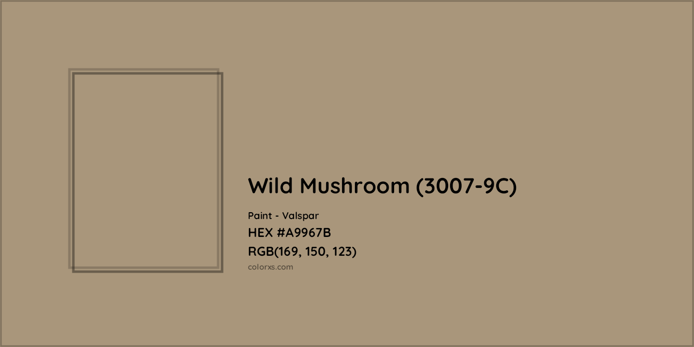 HEX #A9967B Wild Mushroom (3007-9C) Paint Valspar - Color Code