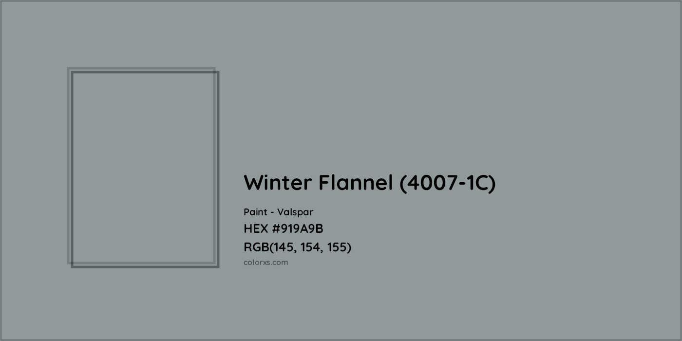 HEX #919A9B Winter Flannel (4007-1C) Paint Valspar - Color Code