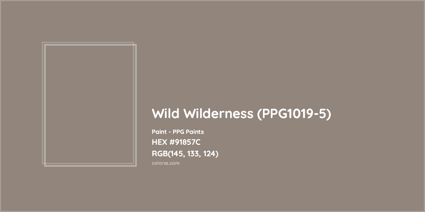 HEX #91857C Wild Wilderness (PPG1019-5) Paint PPG Paints - Color Code