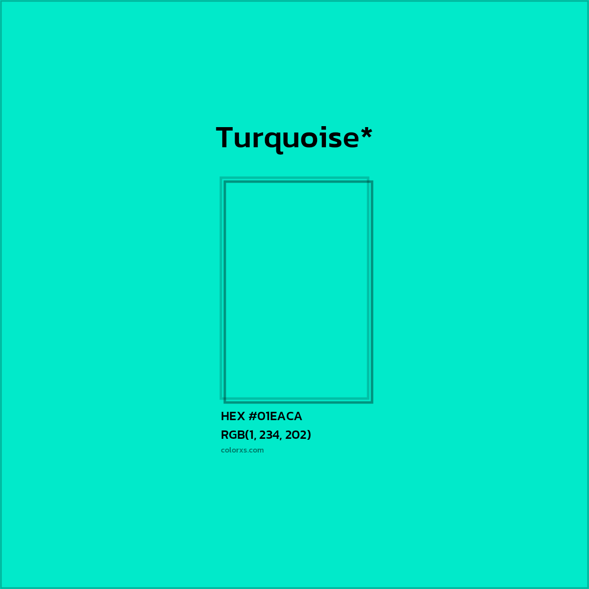 HEX #01EACA Color Name, Color Code, Palettes, Similar Paints, Images