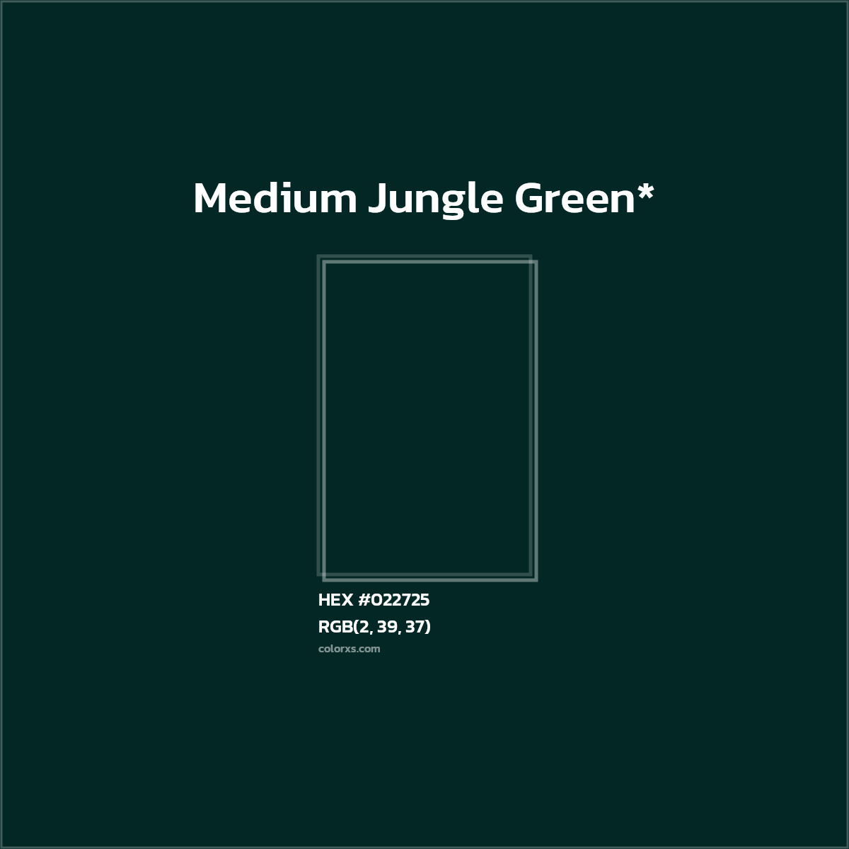HEX #022725 Color Name, Color Code, Palettes, Similar Paints, Images