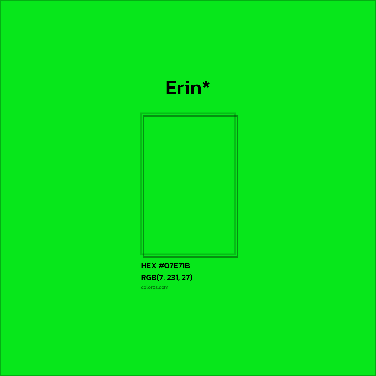 HEX #07E71B Color Name, Color Code, Palettes, Similar Paints, Images