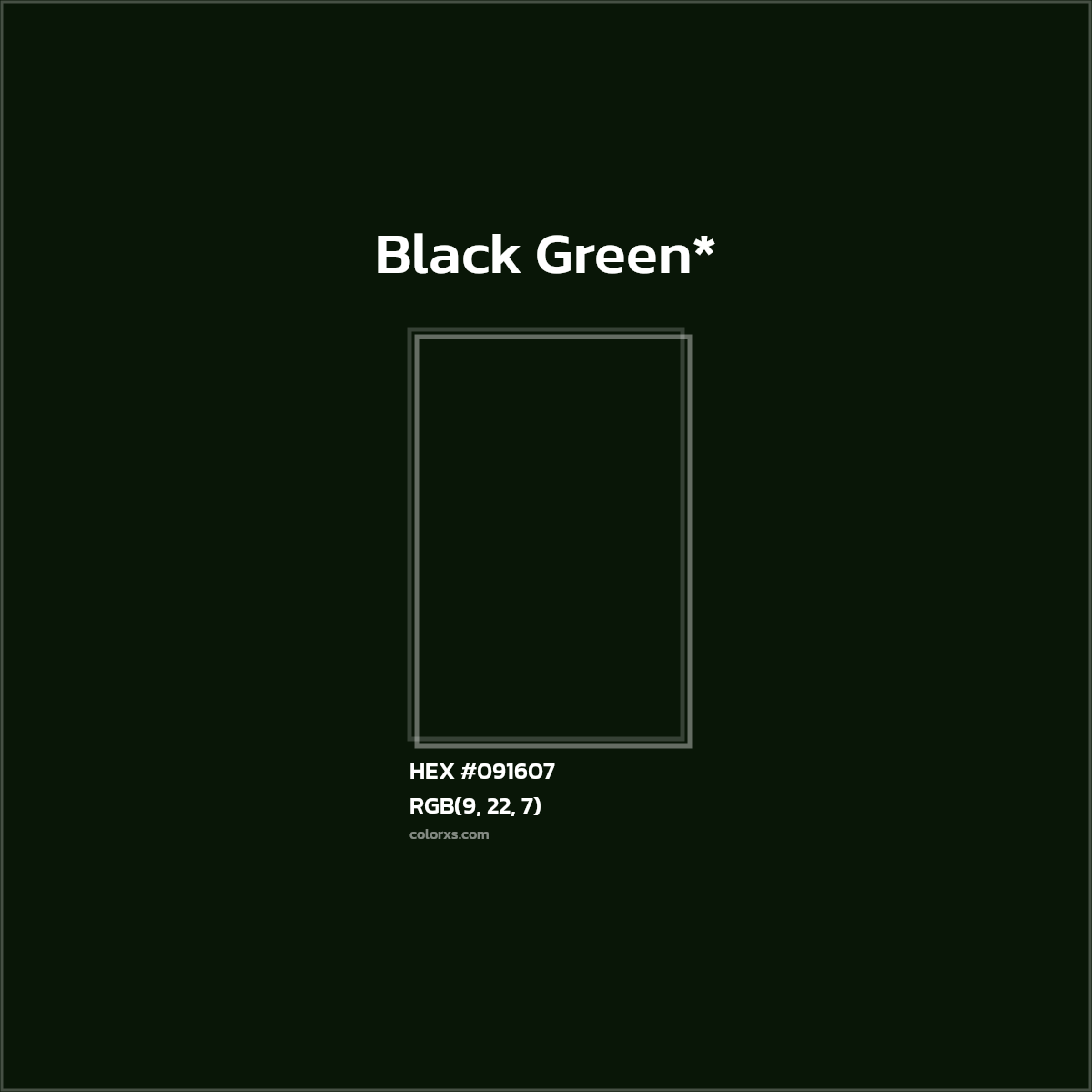 HEX #091607 Color Name, Color Code, Palettes, Similar Paints, Images