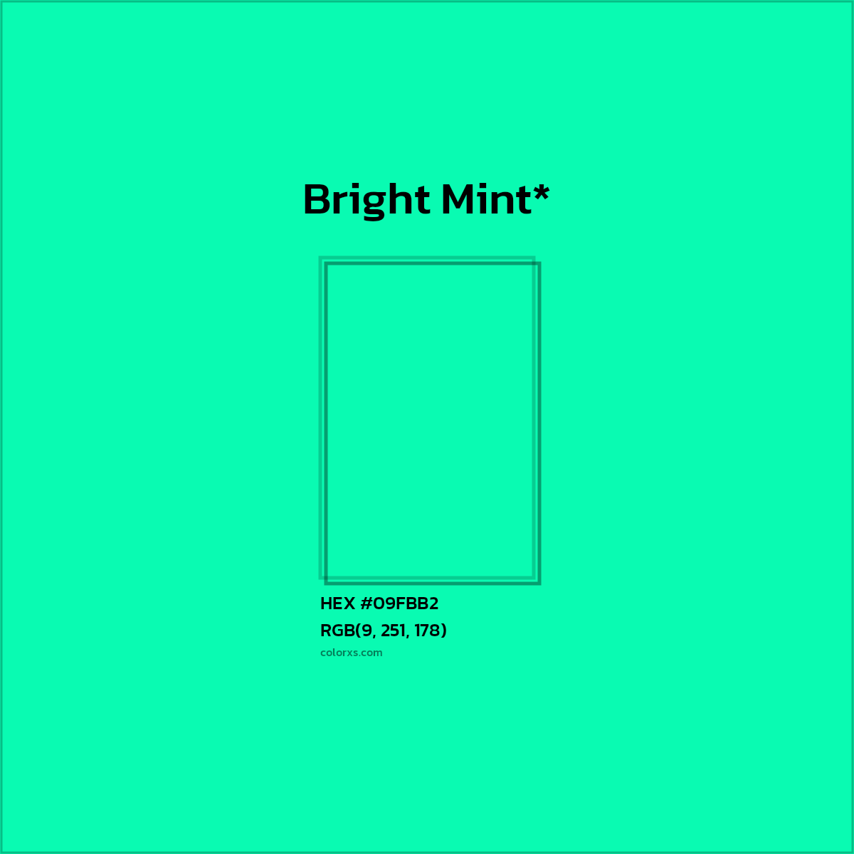 HEX #09FBB2 Color Name, Color Code, Palettes, Similar Paints, Images