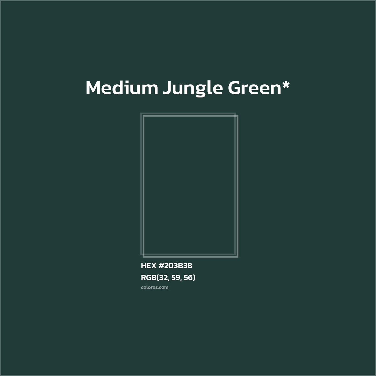 HEX #203B38 Color Name, Color Code, Palettes, Similar Paints, Images