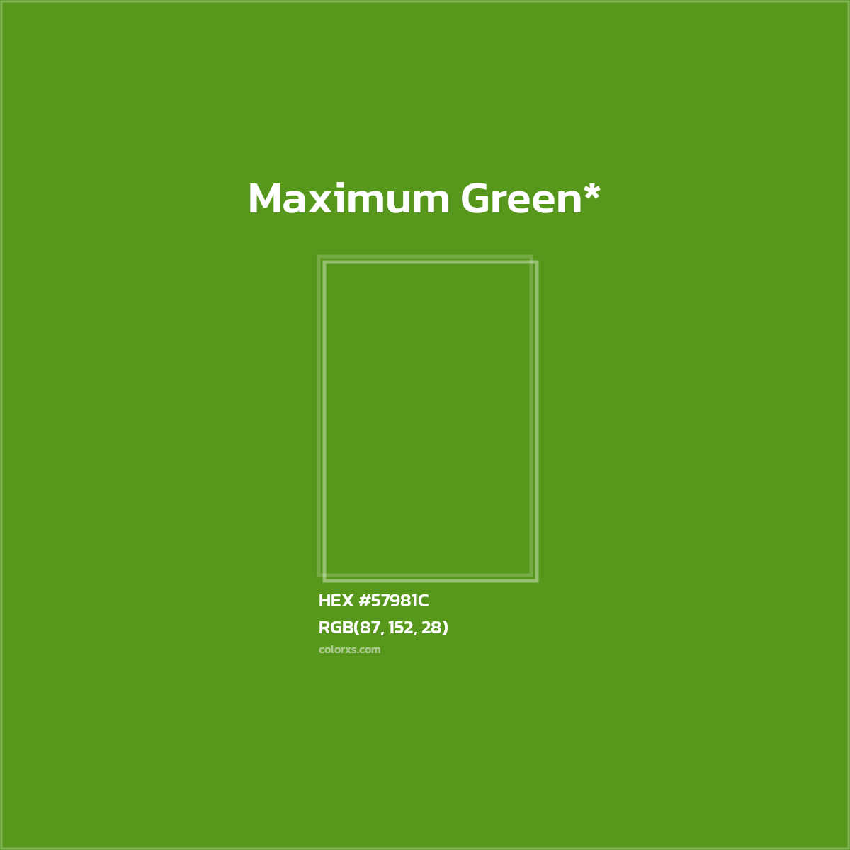 HEX #57981C Color Name, Color Code, Palettes, Similar Paints, Images