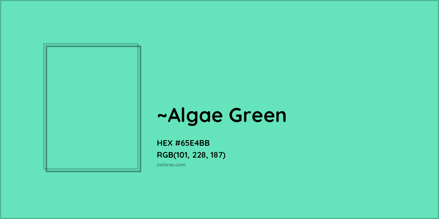 HEX #65E4BB Color Name, Color Code, Palettes, Similar Paints, Images