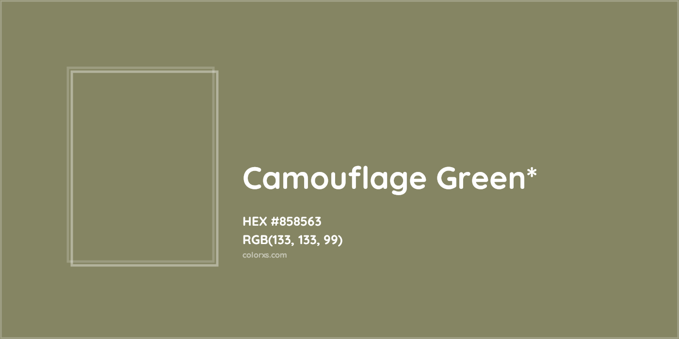 HEX #858563 Color Name, Color Code, Palettes, Similar Paints, Images