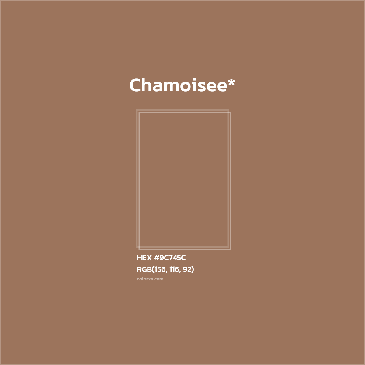 HEX #9C745C Color Name, Color Code, Palettes, Similar Paints, Images