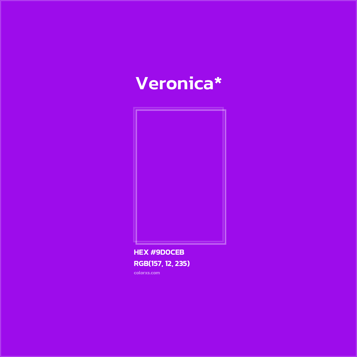 HEX #9D0CEB Color Name, Color Code, Palettes, Similar Paints, Images