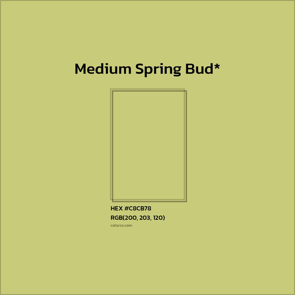 HEX #C8CB78 Color Name, Color Code, Palettes, Similar Paints, Images