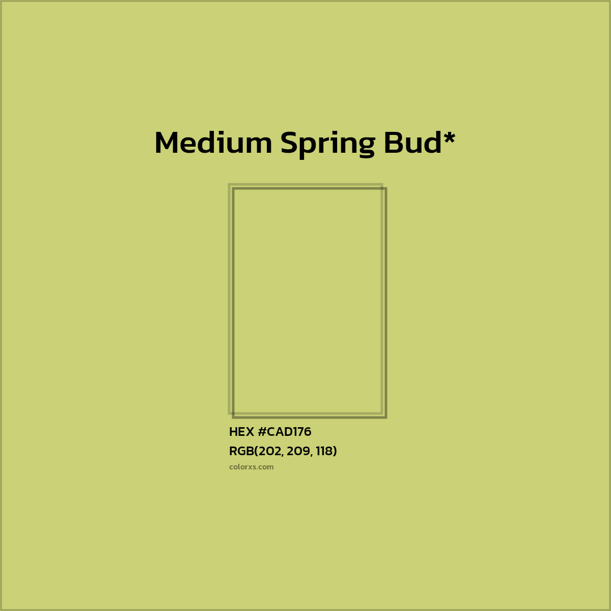 HEX #CAD176 Color Name, Color Code, Palettes, Similar Paints, Images